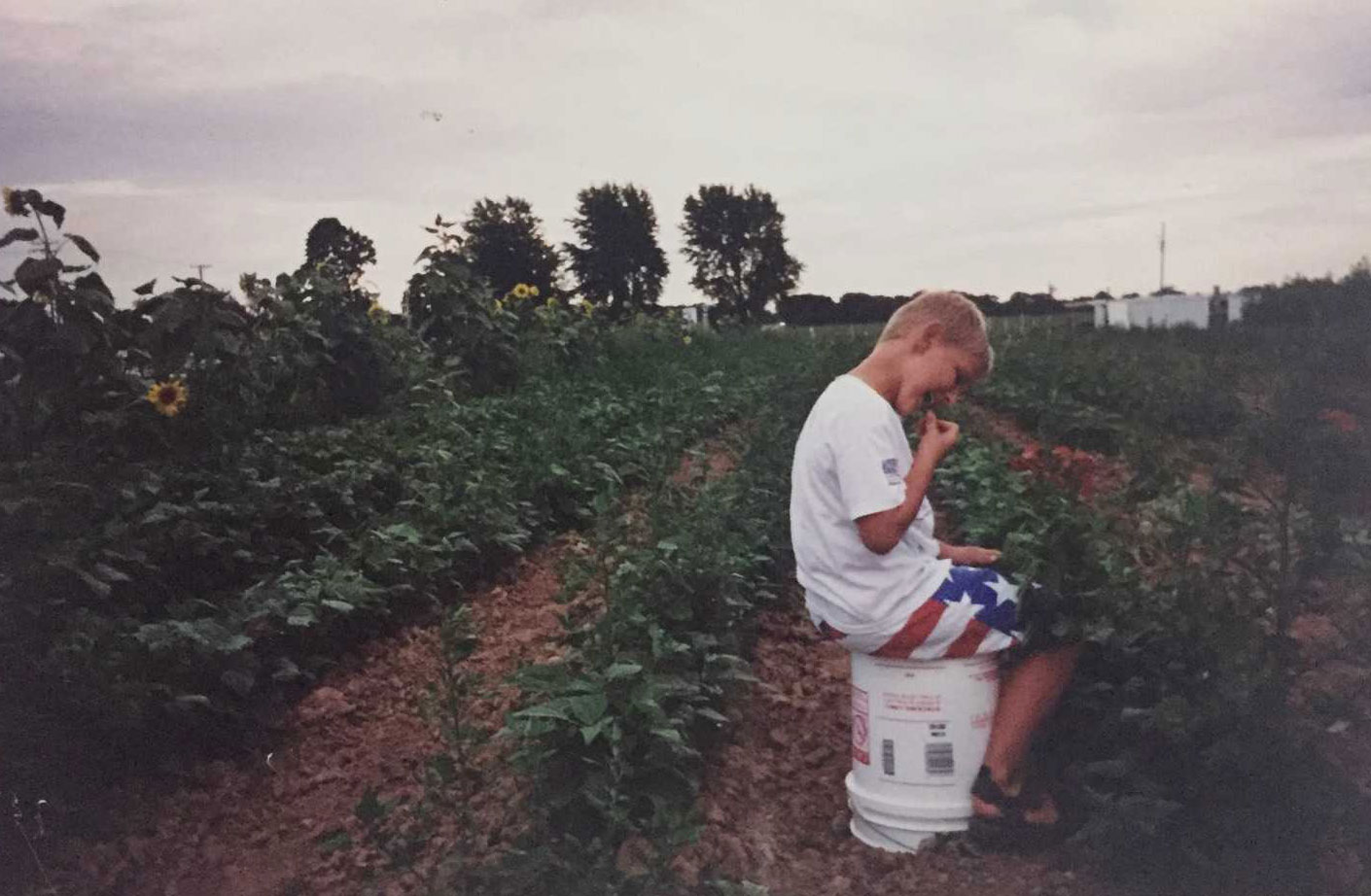 Vintage photo of Pearce's Farm Stand in the backround of a boy alone sitting on a bucket picking green beans in a field